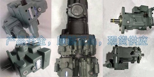 <a href='http://xuniqian.cn' target='_blank'><u>油研柱塞泵</u></a>